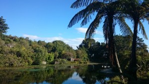 Ashley_Park005