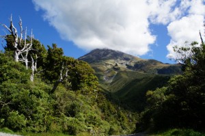 Taranaki003