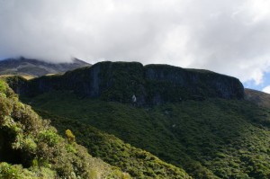 Taranaki007