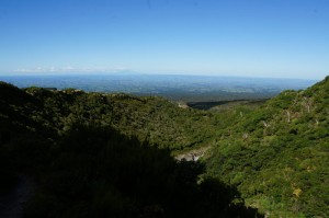 Taranaki010