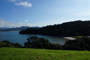 DSC08390