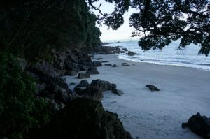 DSC08410