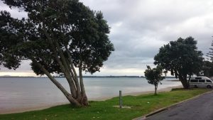 Tauranga01
