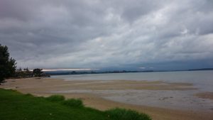 Tauranga02a