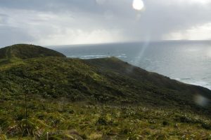 Cape_Reinga04