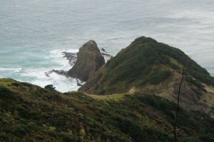 Cape_Reinga08