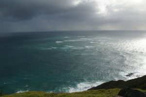 Cape_Reinga11