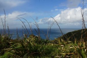 Cape_Reinga12