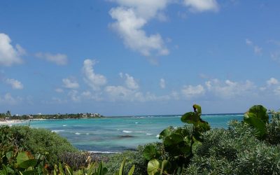 Akumal Bay - Beach & Wellness Resort